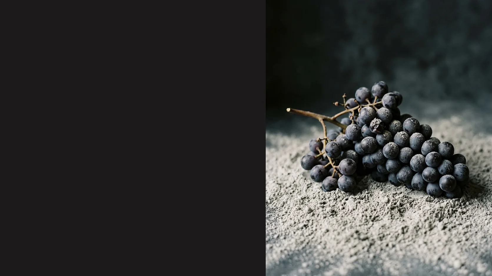灰の上に置かれた一房の黒い葡萄 — Ash to Grape のキービジュアル
